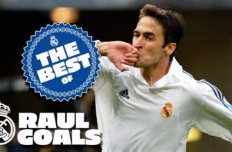 Raul's Career Goal Statistics