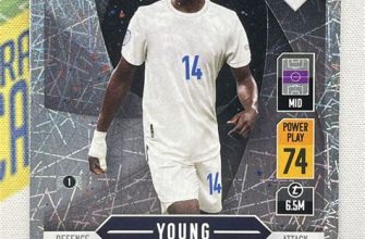 Eduardo Camavinga Football Card Overview